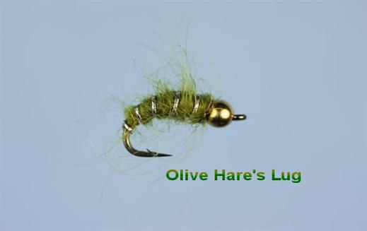 GB Mini Hare's Lug Olive